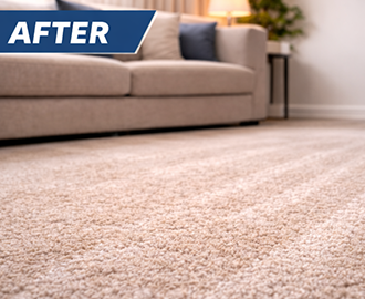 Fresh carpet after cleaning carpet after deep cleaning service