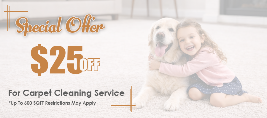 Special cleaning coupon offer carpet cleaning coupon offer banner